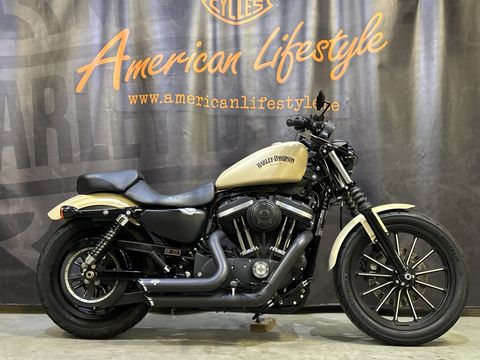  Chopper Sportster 883 Iron XL883N