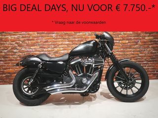  XL 883 N Iron Sportster