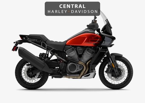  Pan America Special 1250 + two-tone + spoke wheels