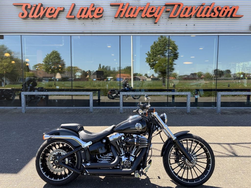 Softail Break Out