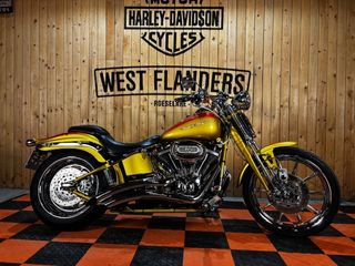  CVO Springer