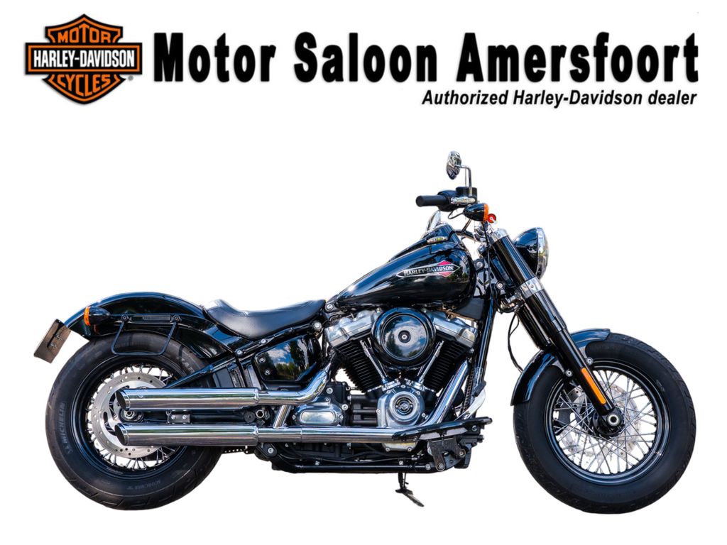  FLSL SOFTAIL SLIM