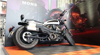  Chopper Sportster's