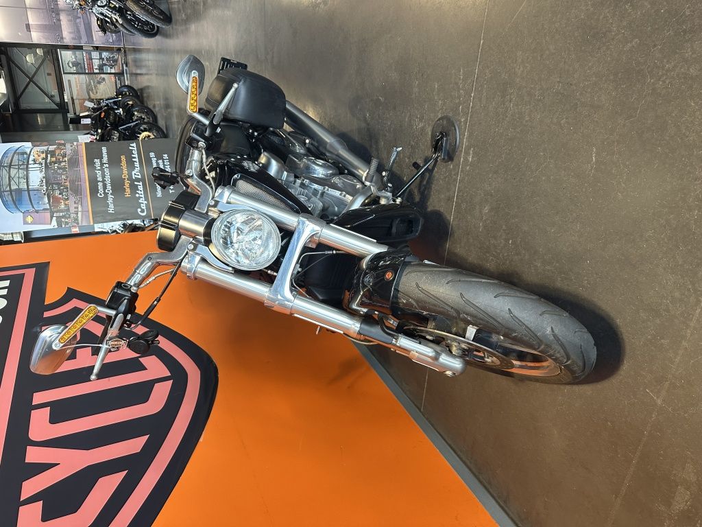 V-ROD Muscle  V-ROD Muscle