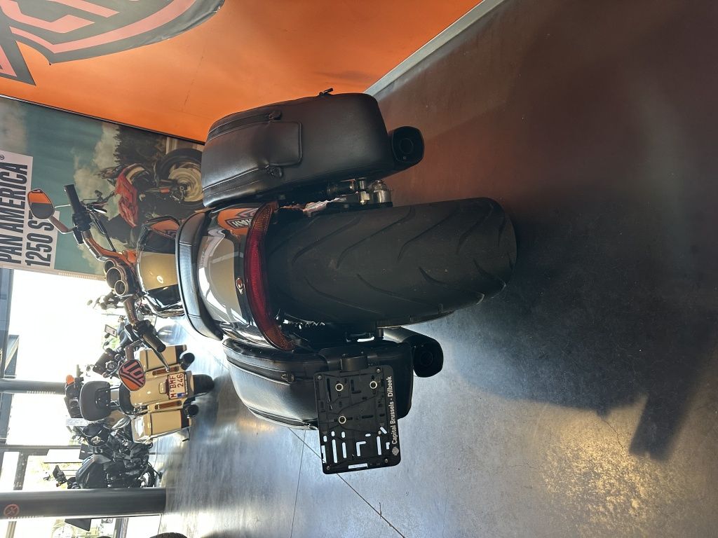 V-ROD Muscle  V-ROD Muscle