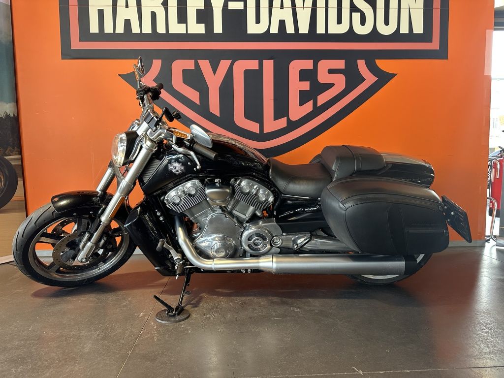 V-ROD Muscle  V-ROD Muscle