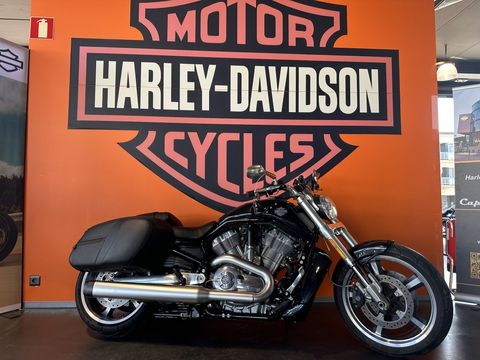  V-ROD Muscle