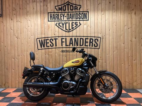  NIghtster Special