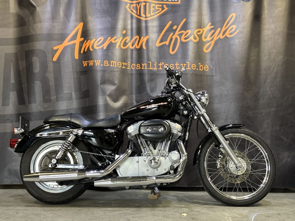  Chopper sportster 883 Custom XL883C