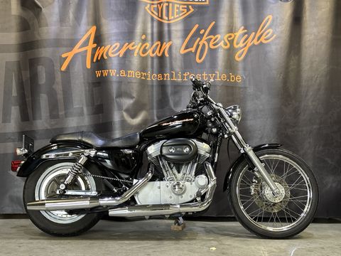  Chopper sportster 883 Custom XL883C