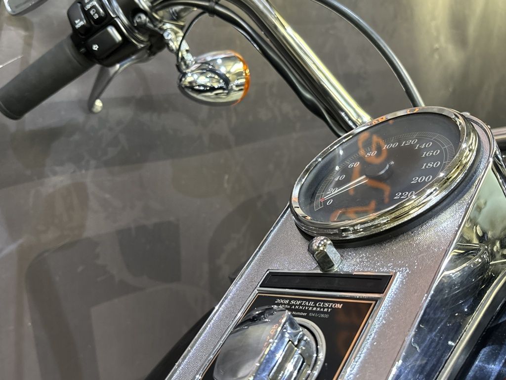 Chopper Softail Custom FXSTC  Chopper Softail Custom FXSTC