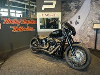 FXBB STREET BOB Foto