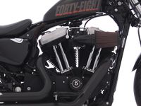 XL1200X / XL1200 X SPORTSTER FORTY-EIGHT Foto