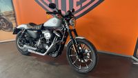 Chopper IRON 883 Foto
