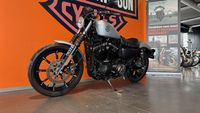 Chopper IRON 883 Foto