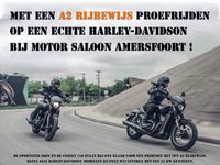 XL 883N / XL883N SPORTSTER IRON Foto
