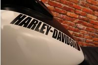 FXFBS Fat Bob 114 met Jekill & Hyde systeem enz Btw motor Foto