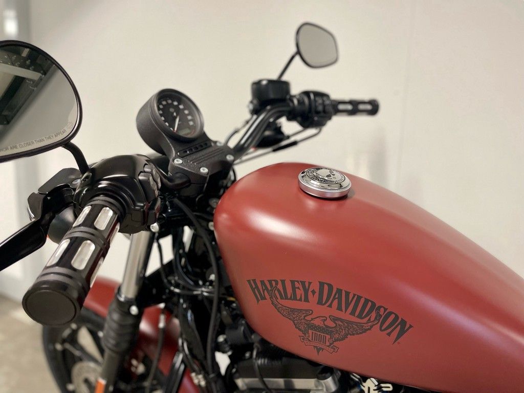 Cruiser SPORTSTER XL883N IRON  Cruiser SPORTSTER XL883N IRON