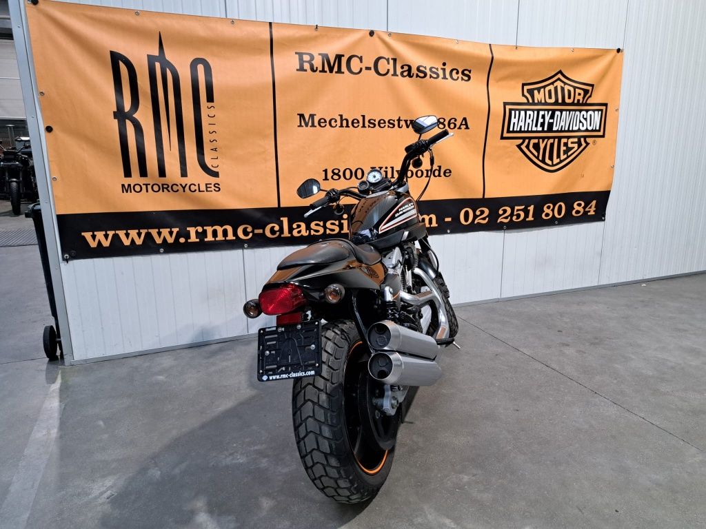 Chopper SPORTSTER - XR 1200  Chopper SPORTSTER - XR 1200