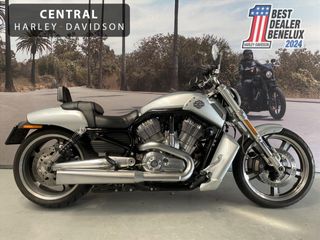  Vrscf 1250 V-ROD MUSCLE