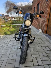 Foto