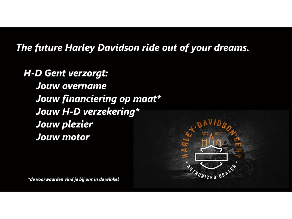 TOURING ROAD KING SPECIAL FLHRXS  TOURING ROAD KING SPECIAL FLHRXS