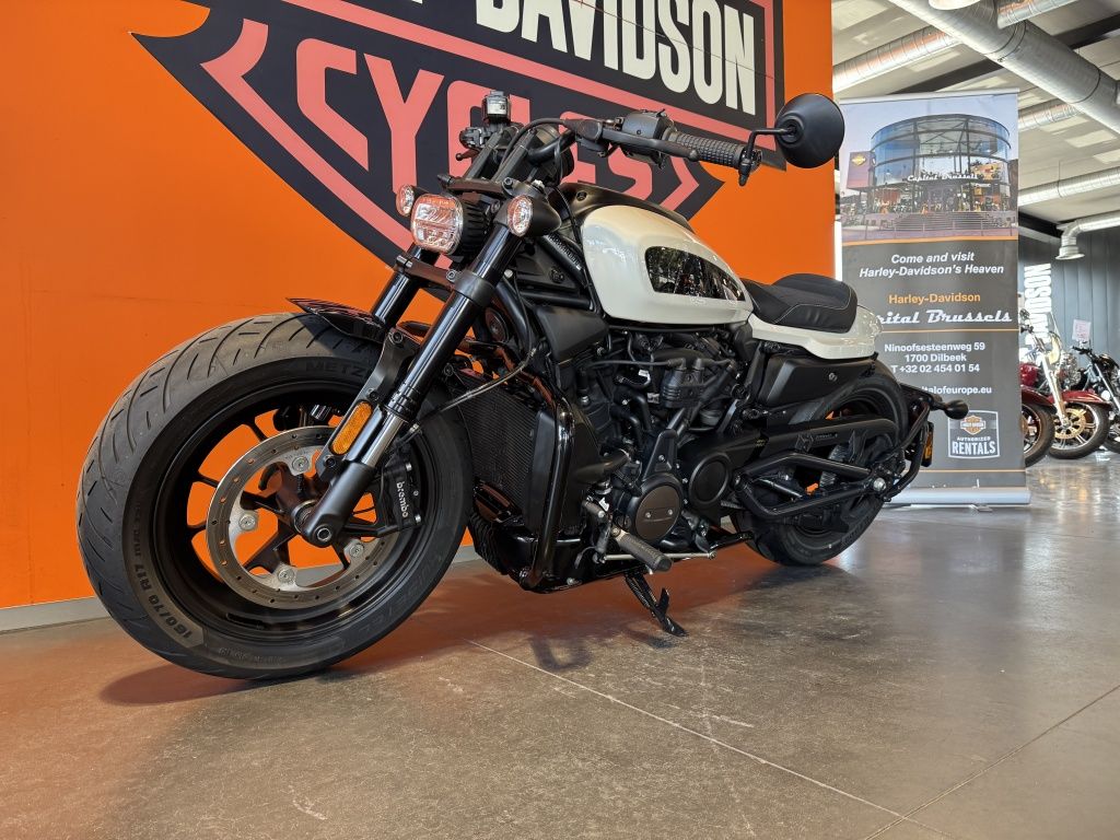 Cruiser Sportster s  Cruiser Sportster s