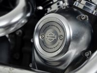FLFB Fat Boy Softail Foto