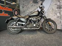 XL883N Sportster Iron Foto