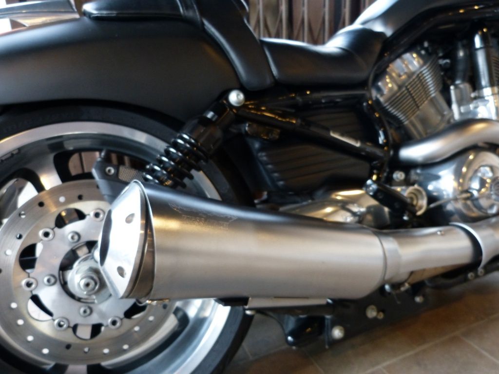 VRSCF V-Rod Muscle  VRSCF V-Rod Muscle