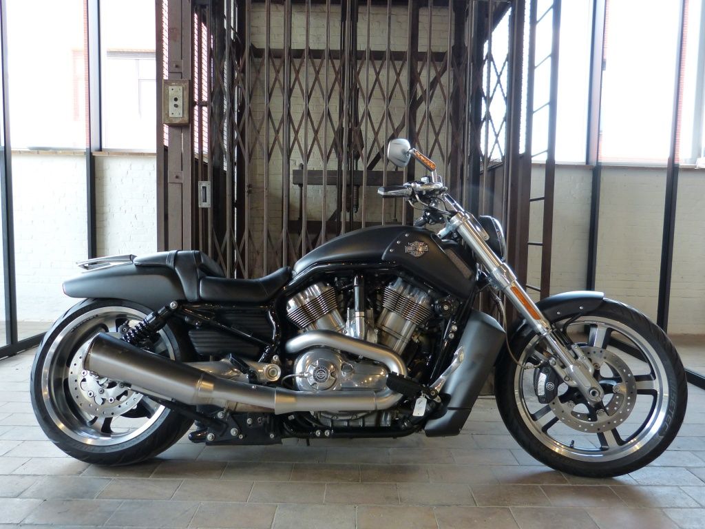  VRSCF V-Rod Muscle