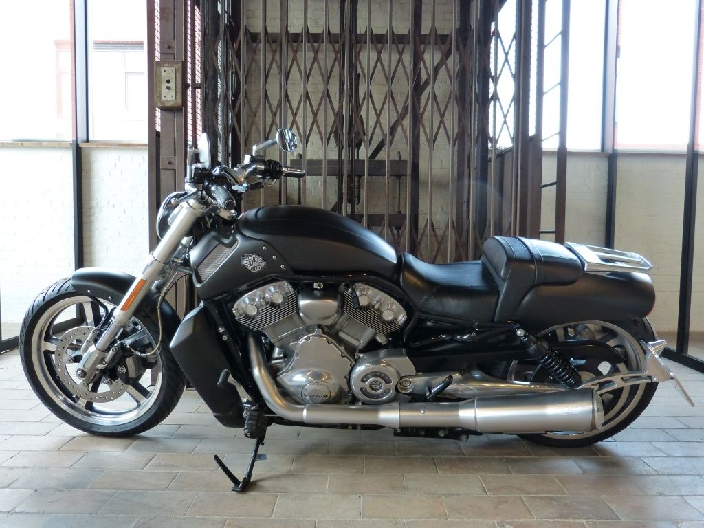 VRSCF V-Rod Muscle  VRSCF V-Rod Muscle