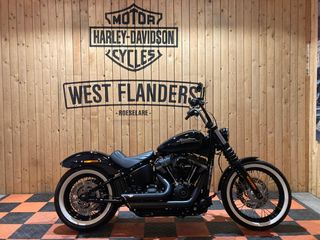  Street Bob