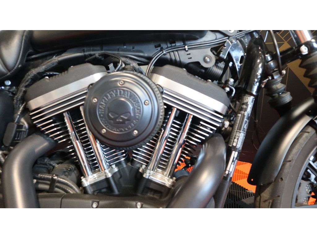 Chopper Iron 883  Chopper Iron 883