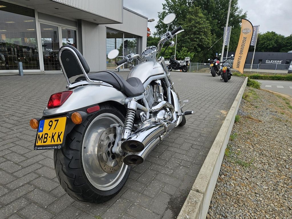 VRSCA V-Rod  VRSCA V-Rod