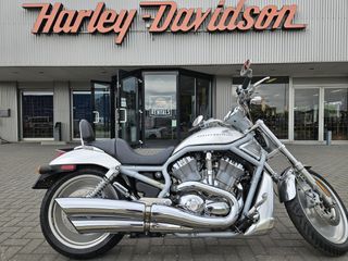  VRSCA V-Rod